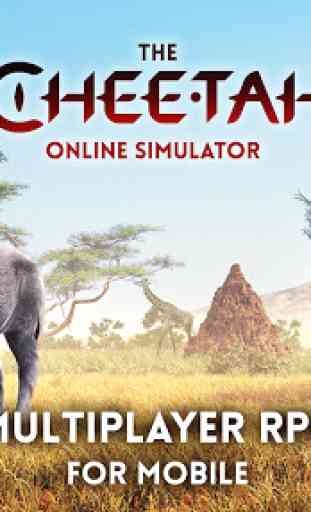 The Cheetah 1