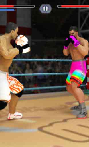 World Tag Team Super Punch Boxing Star Champion 3D 3