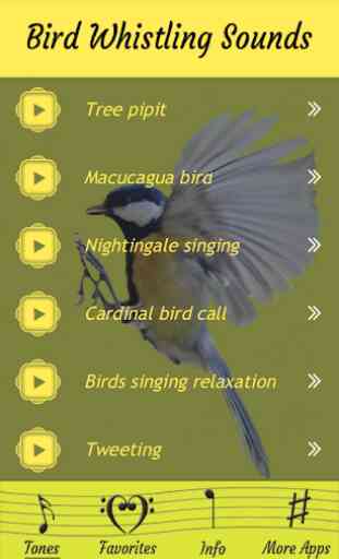 Assobiando sons de pássaros 2