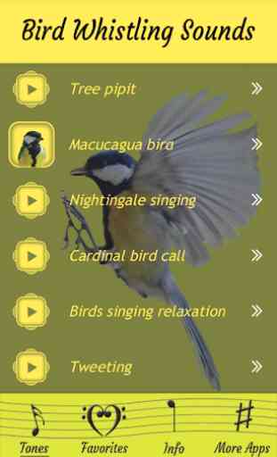 Assobiando sons de pássaros 3