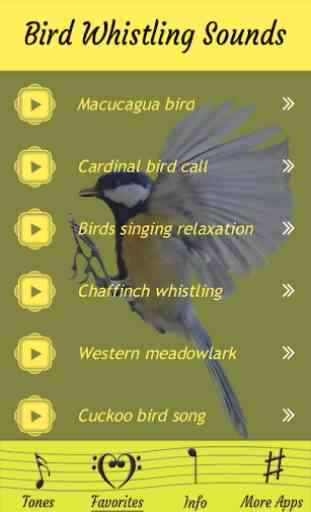 Assobiando sons de pássaros 4