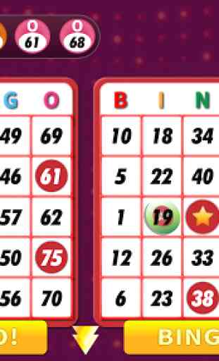 Bingo Classic Game - Offline Free 1