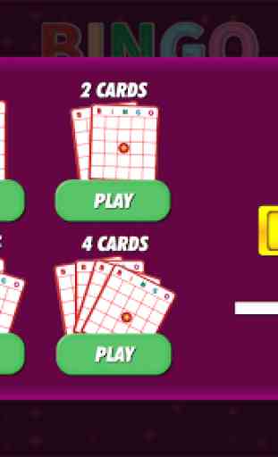 Bingo Classic Game - Offline Free 2