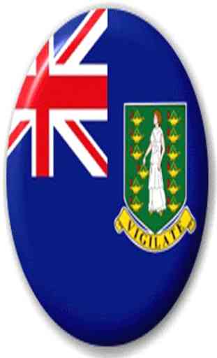 British Virgin Islands Flag 4