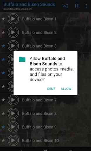 Buffalo e Bison soa ~ Sboard.pro 2