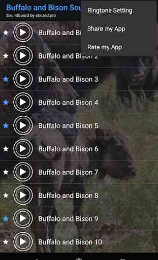 Buffalo e Bison soa ~ Sboard.pro 4