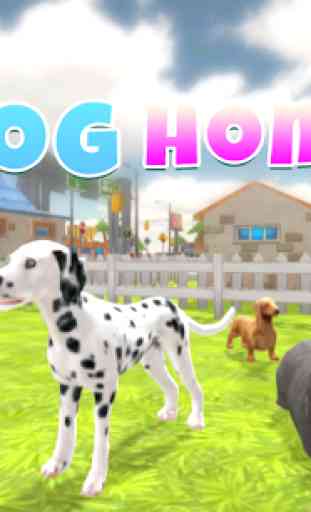 Casa de cachorro 1