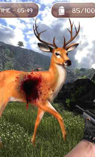 3d Deer Hunting Shooting 1