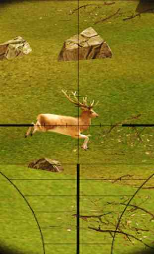 Deer Sniper Hunting 2019 3