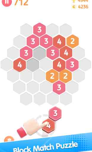 Hexa Puzzledom 1