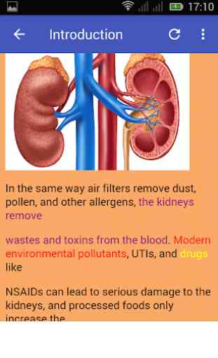 Kidney Cleanser 2
