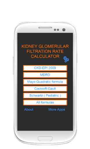 Kidney Glomerular Filtration Rate  eGFR Calculator 1