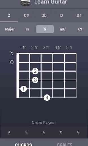Learn Guitar Chords & Scales 1