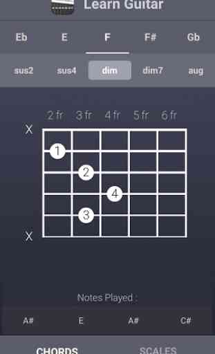 Learn Guitar Chords & Scales 2