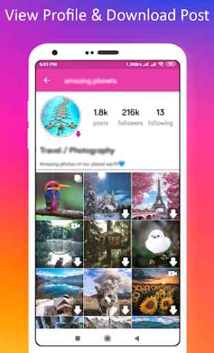 Profile Picture Downloader for Instagram 2