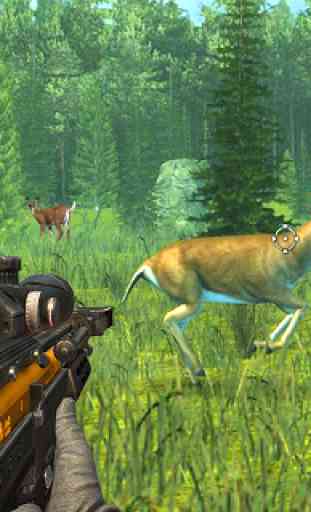 Wild Animal Sniper Deer Hunter 2020 1
