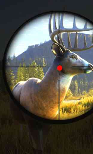 Wild Animal Sniper Deer Hunter 2020 2