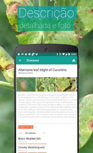 Agrobase - infestante,doença 3