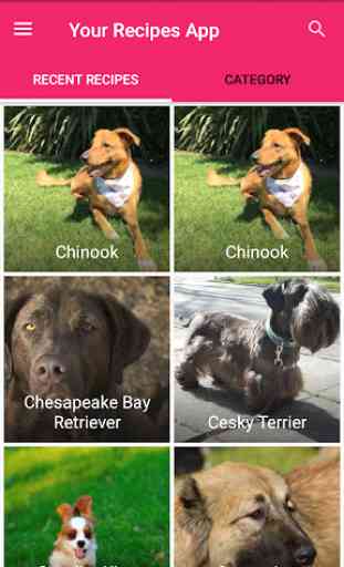 All Dog Breed Profiles 1
