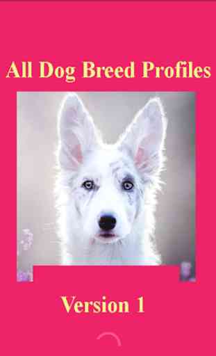 All Dog Breed Profiles 3