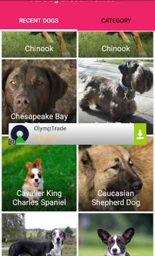 All Dog Breed Profiles 4