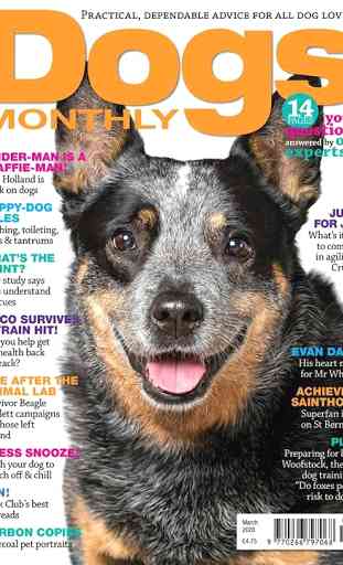 Dogs Monthly Magazine 1