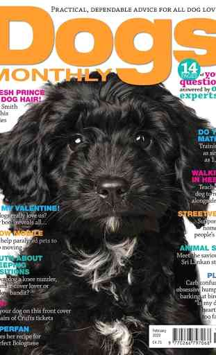Dogs Monthly Magazine 2