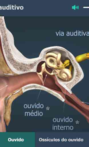 O ouvido e o aparelho auditivo 3D educacional RV 2