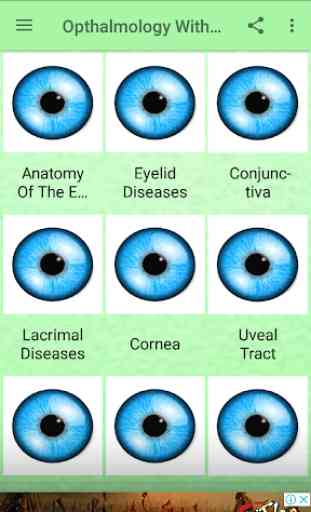 Ophthalmology & Optometry Guide 2