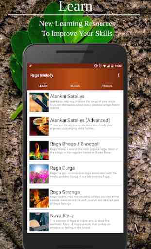 Raga Melody - Indian Classical Music 1