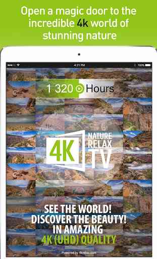 4K Nature Relax TV 4