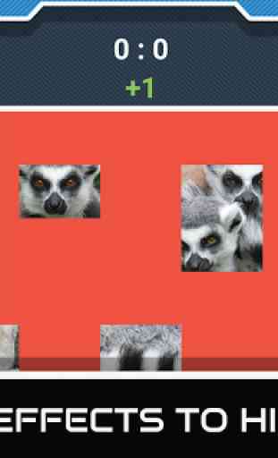 Animal Quiz - 2 jogadores 4