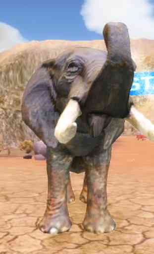 Elefante Falante 1