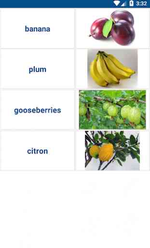 English Vocabulary In Use with Picture 3