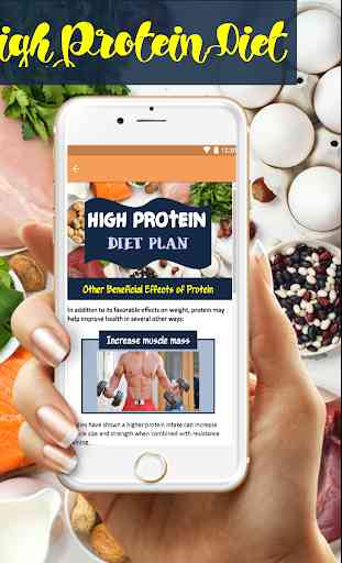 High Protein Diet Plan Beginner 2