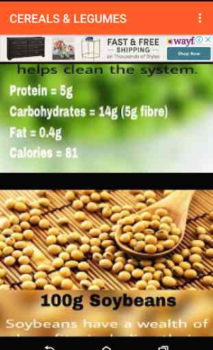 PROTEIN CONTENT IN FOOD 3