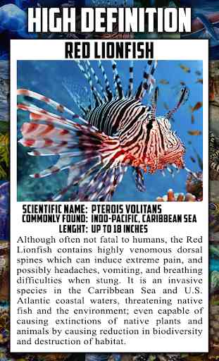 Sea Animal Encyclopedia 3