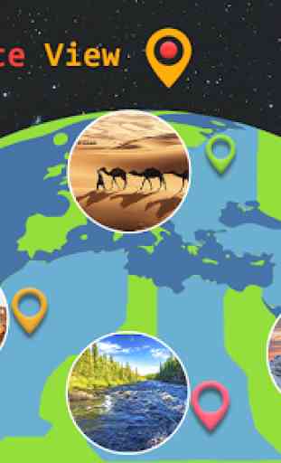 Viver Terra Mapa 2020 -Satellite & R 4