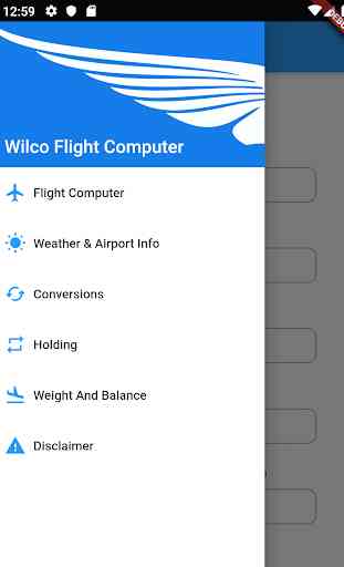 Wilco - Flight computer - METAR -TAF  - Holding 1