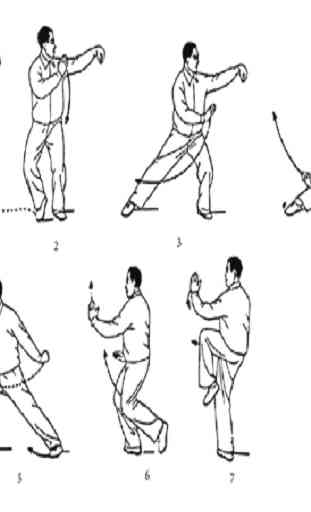 Aprenda Kung Fu 2
