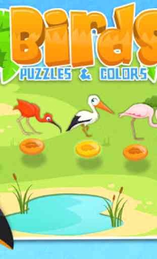 Birds - Puzzle para Colorir 1