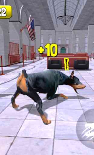 Cão policial caça criminal 3D 1