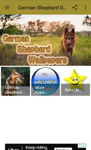 German Shepherd Dog Wallpaper 1