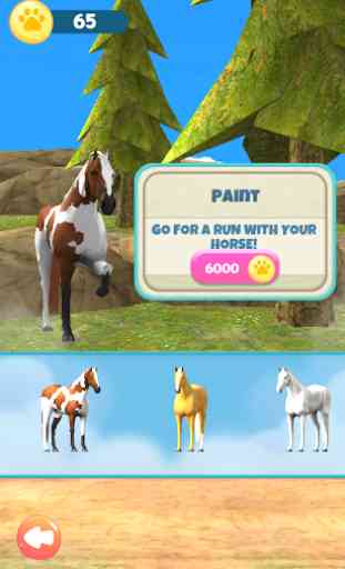 Horse Run 1