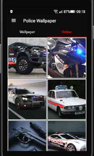 Police Wallpaper 2