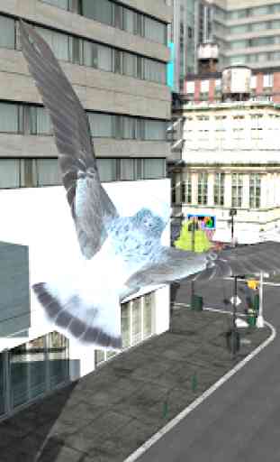 San Andreas Flying Bird 3D 4