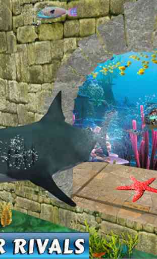 Corrida de água de bestas de tubarão 3
