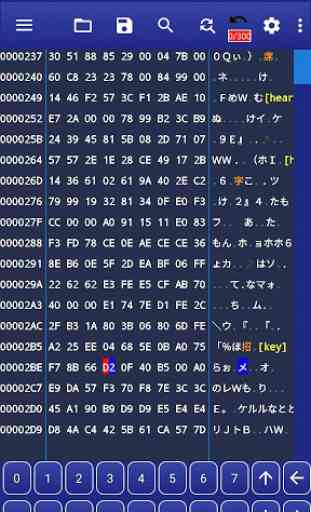 Hex Editor - WindHex Mobile 4