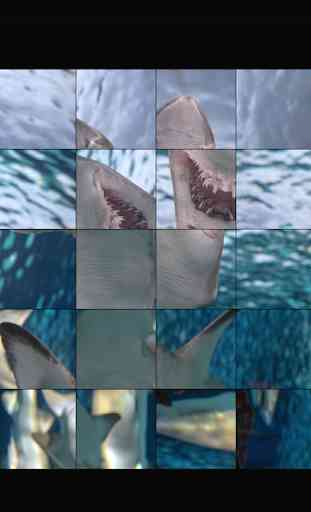 Hungry Shark Jigsaw Puzzle Game 2