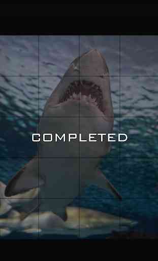 Hungry Shark Jigsaw Puzzle Game 3